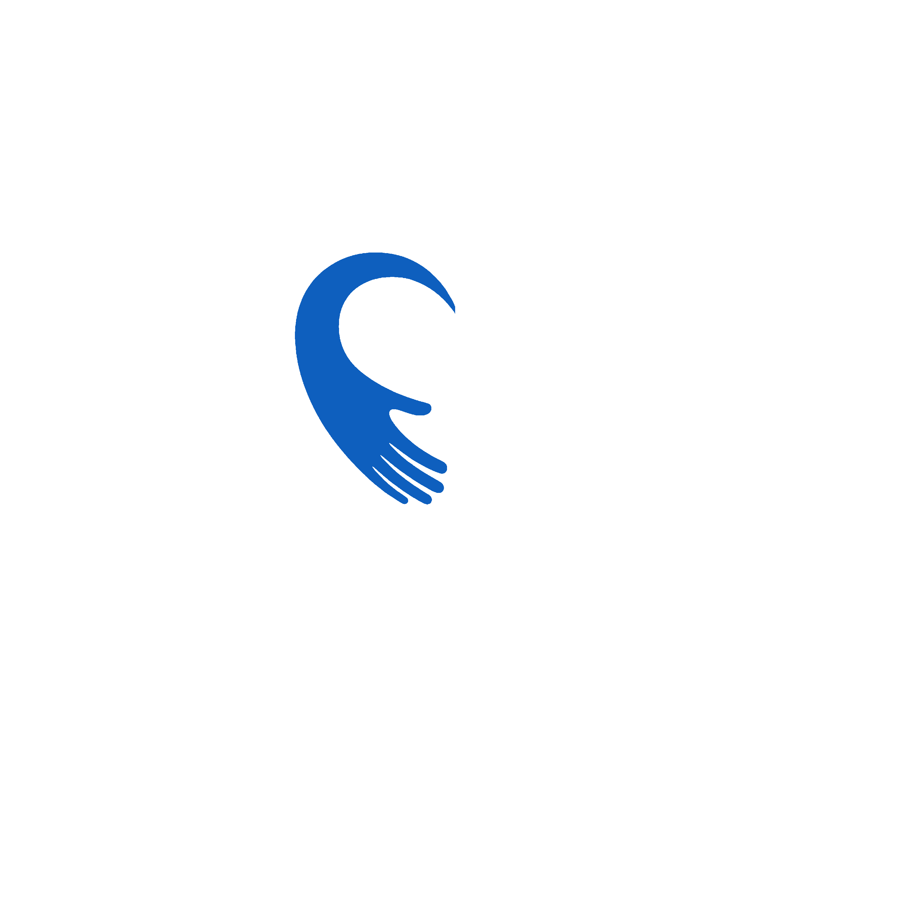 נתינה כחול לבן